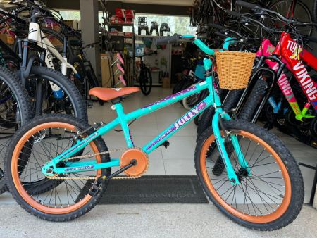 BICICLETA COLLI JULY, ARO 20, FREIO V-BRAKE, VERDE/MARROM